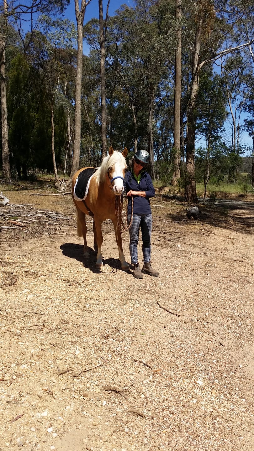 Customer photo review of Equine Joint Plus™️ 1.2kg