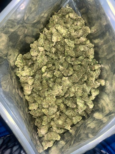 Customer photo review of Bulk Indoor THCA Smalls
