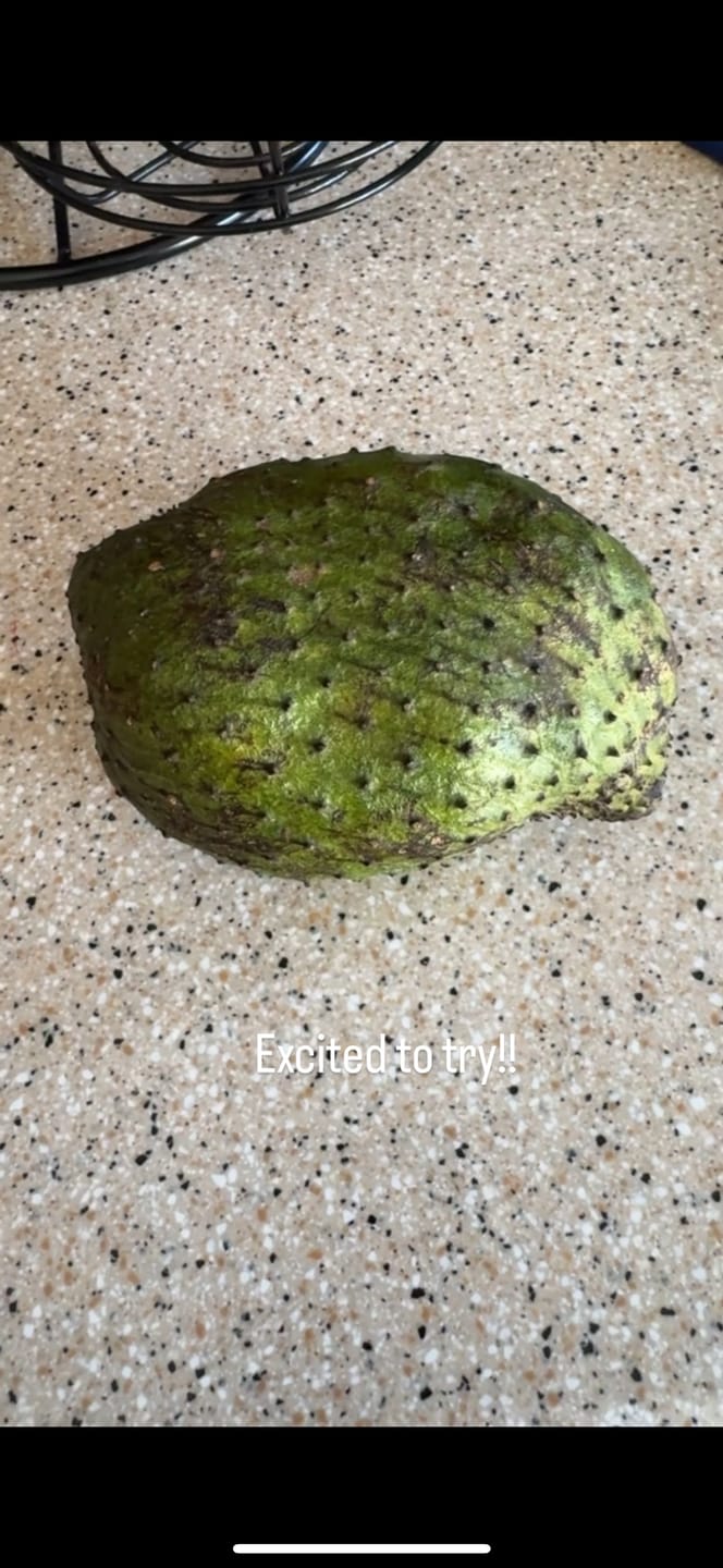 Customer photo review of Premium Soursop (Guanabana)