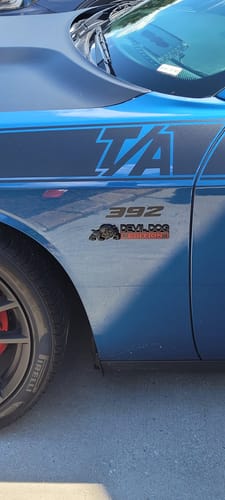 Customer photo review of DEVIL DOG Edition Marine Car Badge for each side