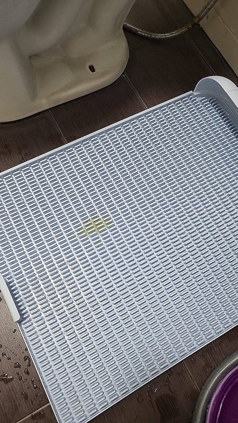 Customer photo review of Extended Protrusion Potty Pad (Size L)