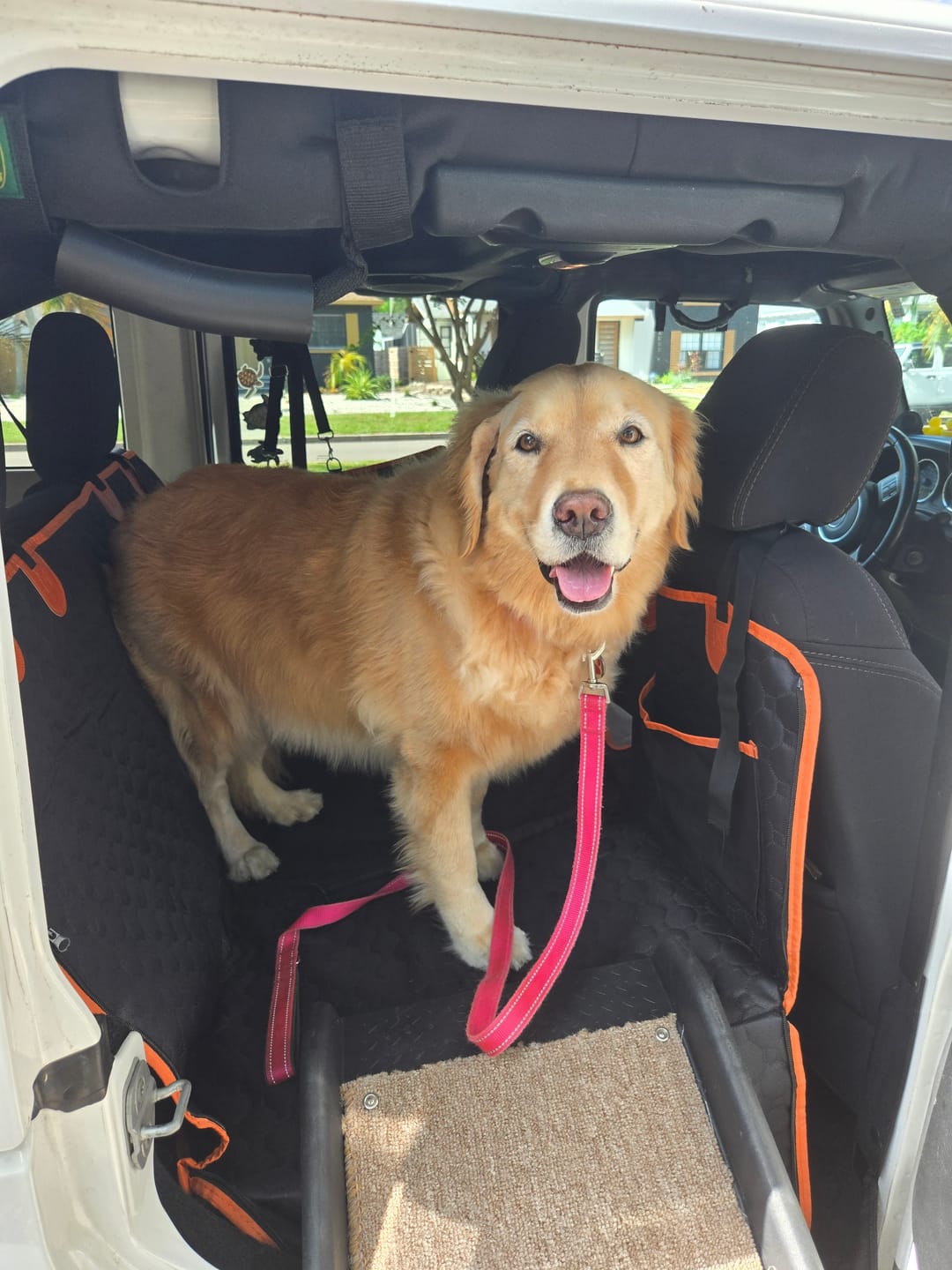 Customer photo review of FurGuard™: Hard Bottom Extender