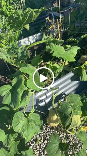 Customer video review of 17” Tall Modular 9 in 1