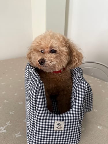 Customer photo review of Borsa Cotone Vichy Navy