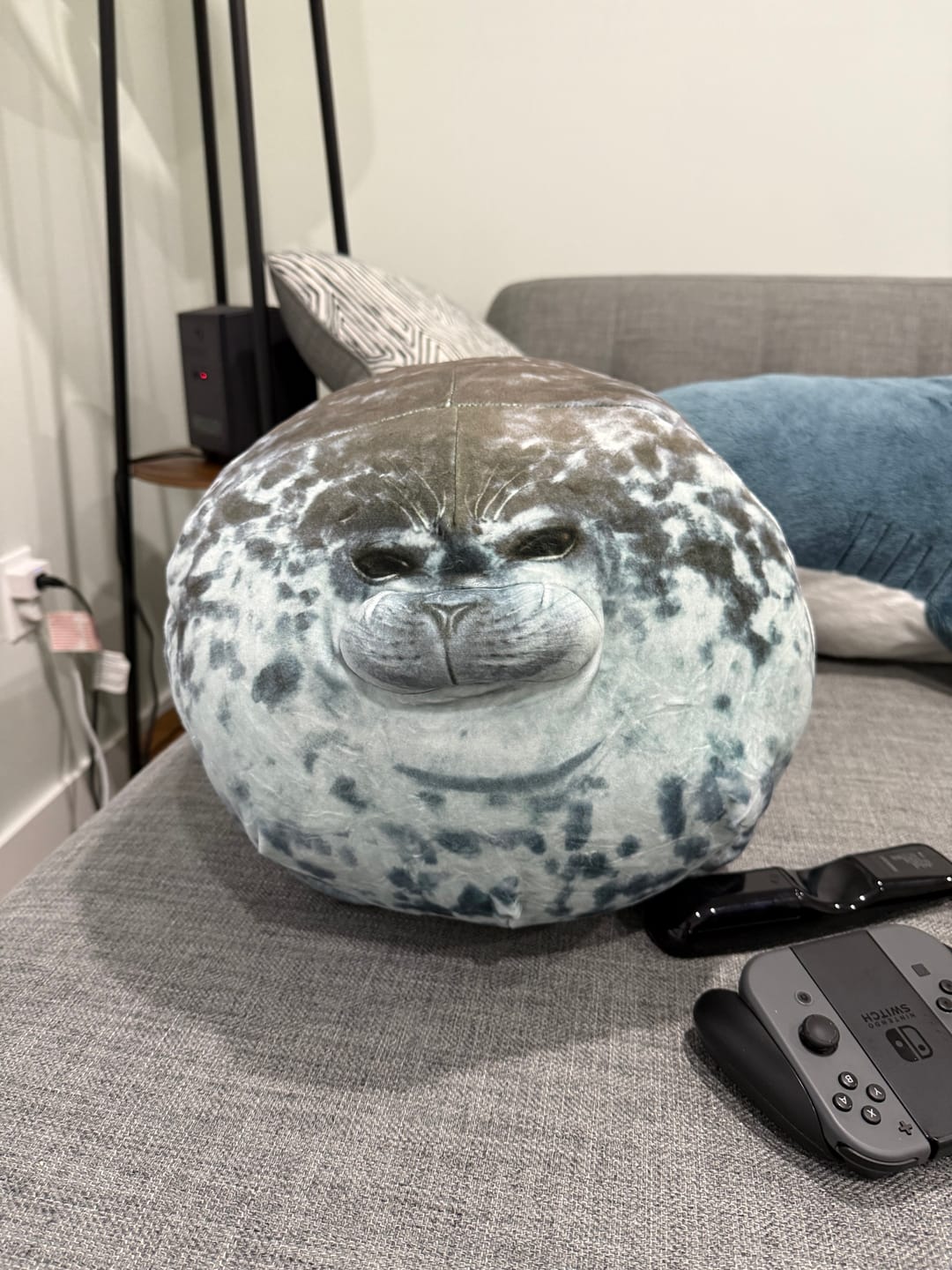 Customer photo review of Yuki-Chan Plushie "Japan's Roundest Seal" - XL (Extra Chonky)