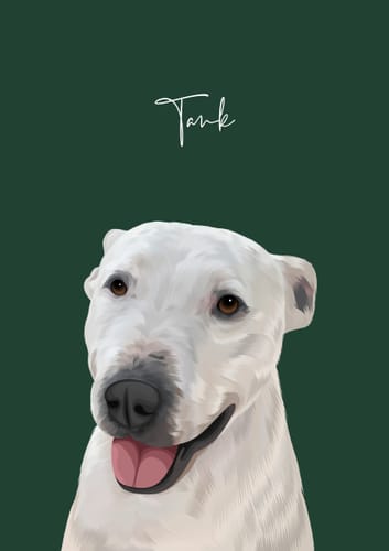 Customer photo review of Detailed Pet Portrait