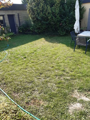 Kundenbewertung mit Foto zu RASENBLITZ™ - SOMMERDÜNGER
