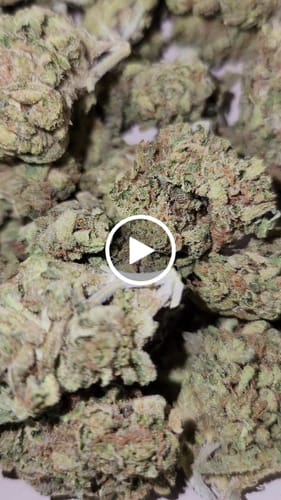 Customer video review of Sour Diesel THCA Flower