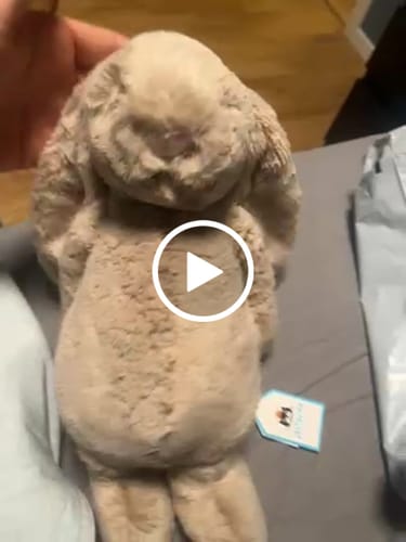 Customer video review of Bashful Beige Bunny Original | Jellycat