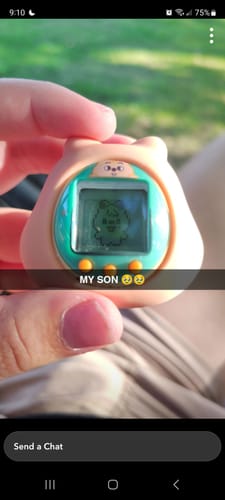 Customer photo review of [3RD PRE-ORDER] STRAY KIDS - SKZOO X DAMAGOTCHI OFFICIAL MD TAMAGOTCHI & CASE SET