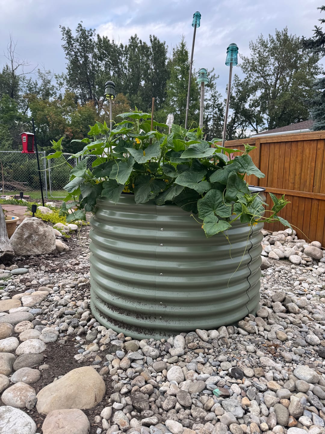 Customer photo review of 32" Tall Large Round