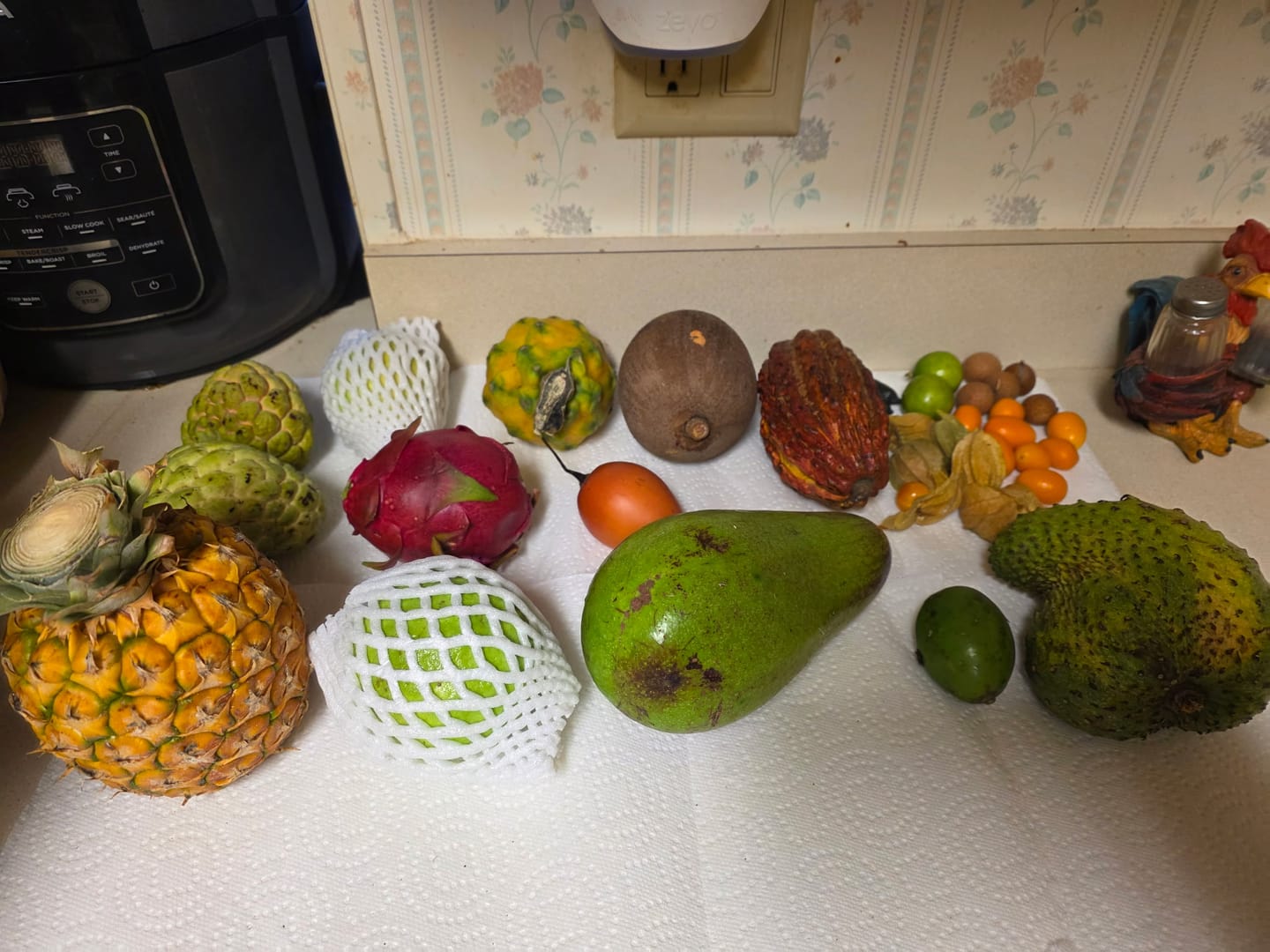 Customer photo review of Variety Box