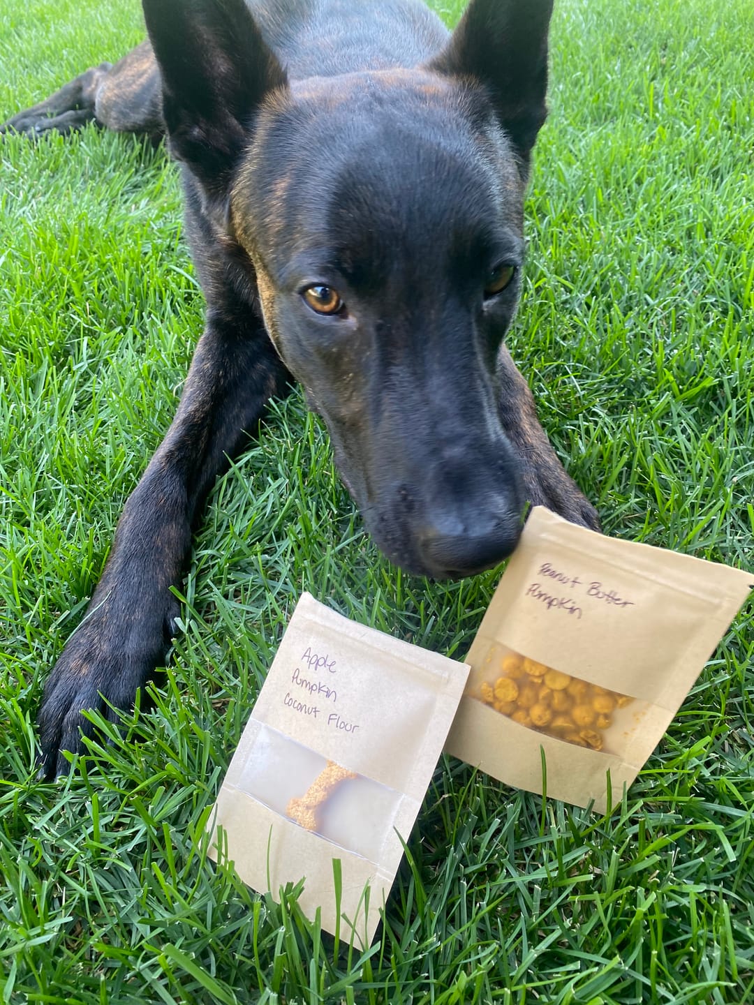 Customer photo review of Dehydrated Beef Heart