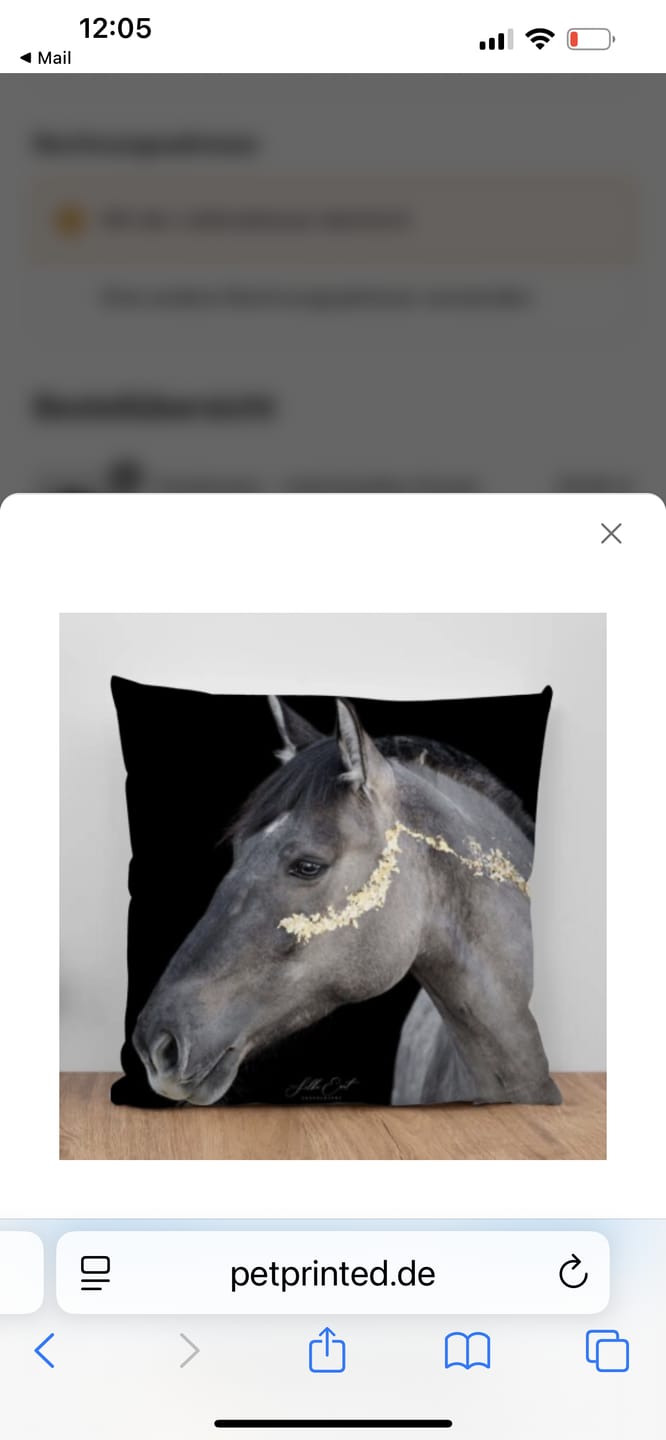 Customer photo review of Fotokissen - Individuelles Kissen