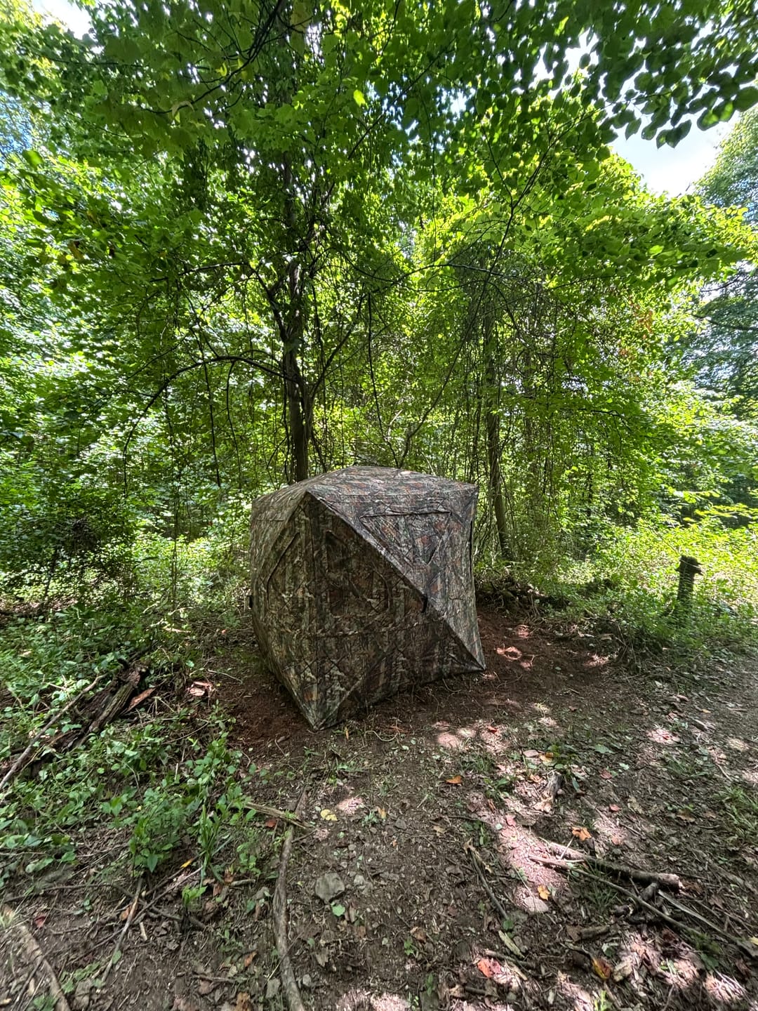 Customer photo review of Vis360 3-4 Person See Through Silent 4 Full Panels Deer Hunting Blind