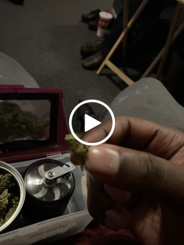Customer video review of Blackberry Kush - 28 Grams Littles - Indica