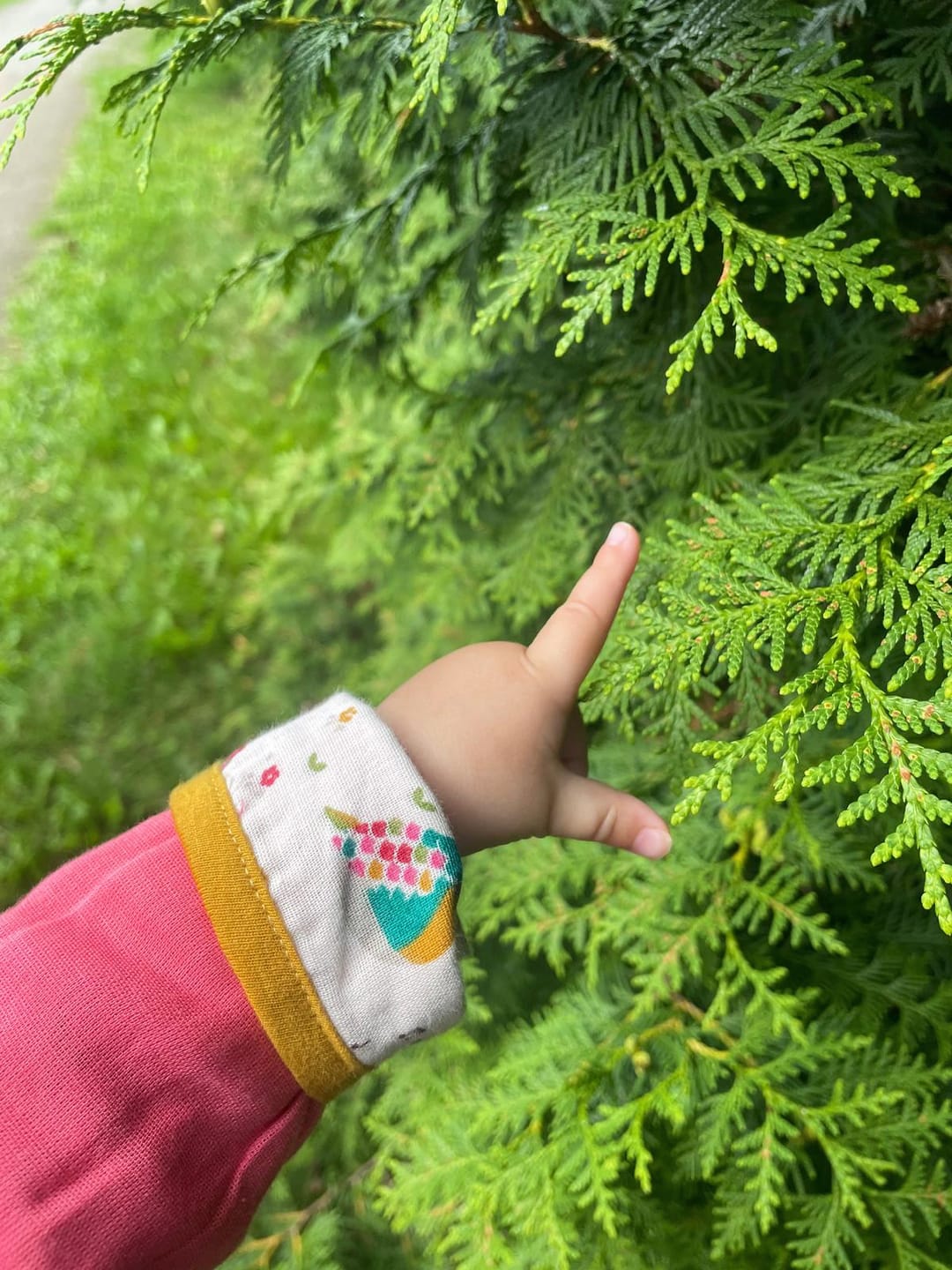 Customer photo review of The Birds Did Sing Reversible Spring Jacket