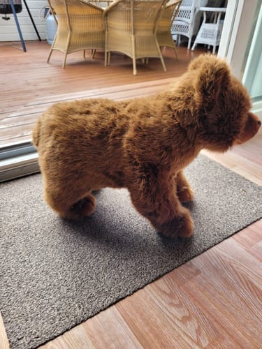 Customer photo review of Brunbjørn Bamse 54 cm | Hansa Creation