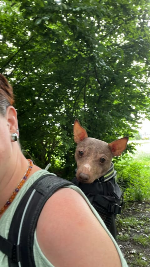 Customer photo review of PawPack - Ergonomische Hondendraagzak Rugzak
