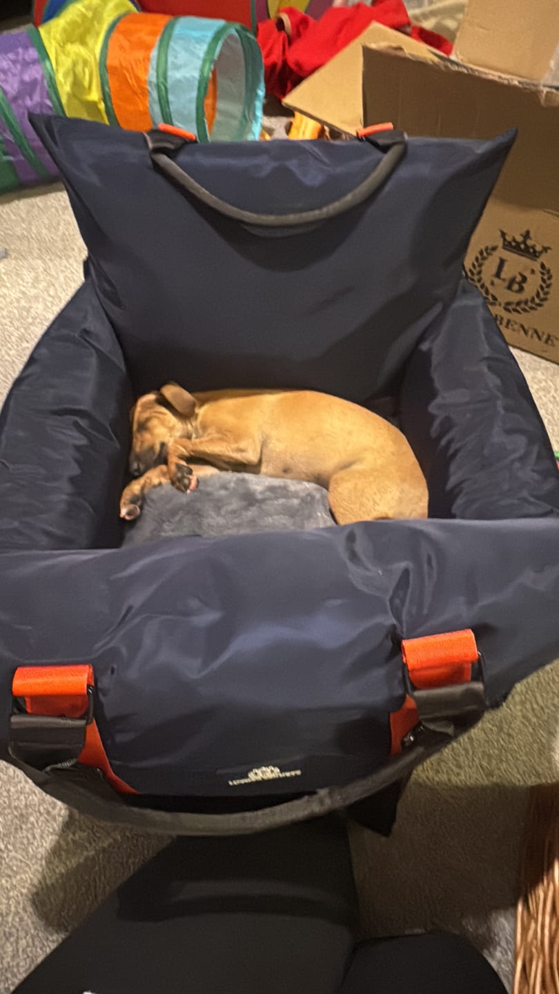 Customer photo review of Travel Dog Pod 2.0 - Now With IsoFix