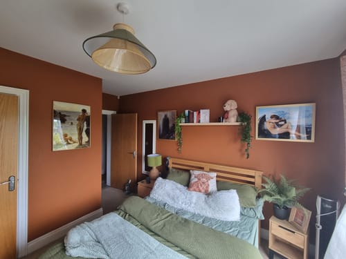 Customer photo review of The Fallen Angel | Alexandre Cabanel | 1847