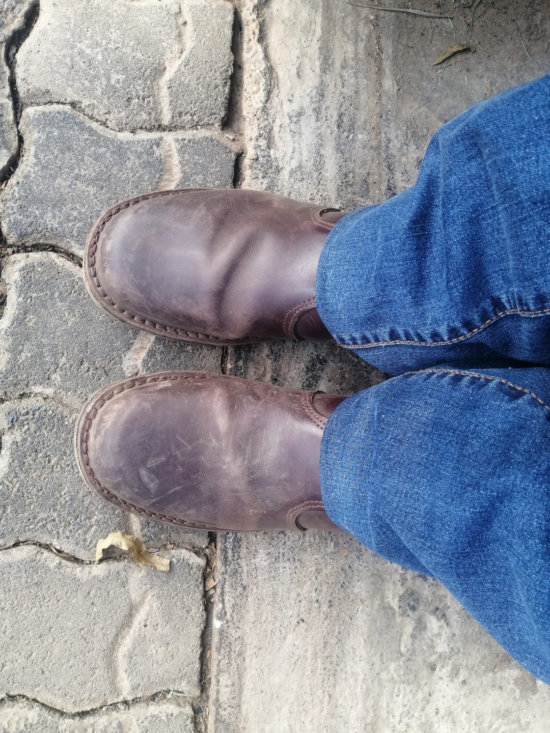 Customer photo review of Chelsea Vellies