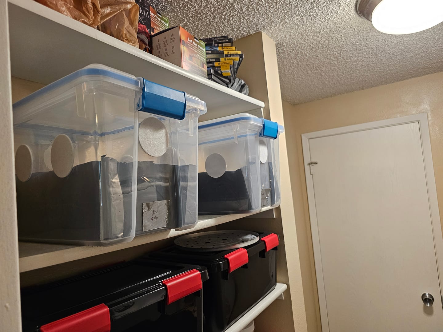 Customer photo review of Adherable Monotub Filters 2.5"