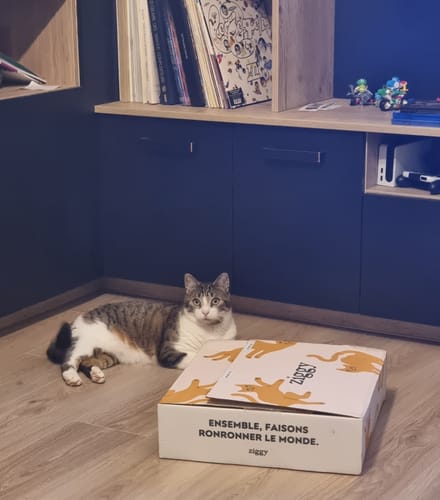 Avis photo d'un client sur Croquettes Chat Stérilisé Sans Céréales - Poulet
