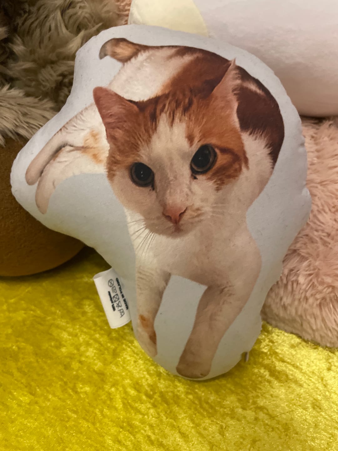 Customer photo review of Personalisiertes Katzenkissen