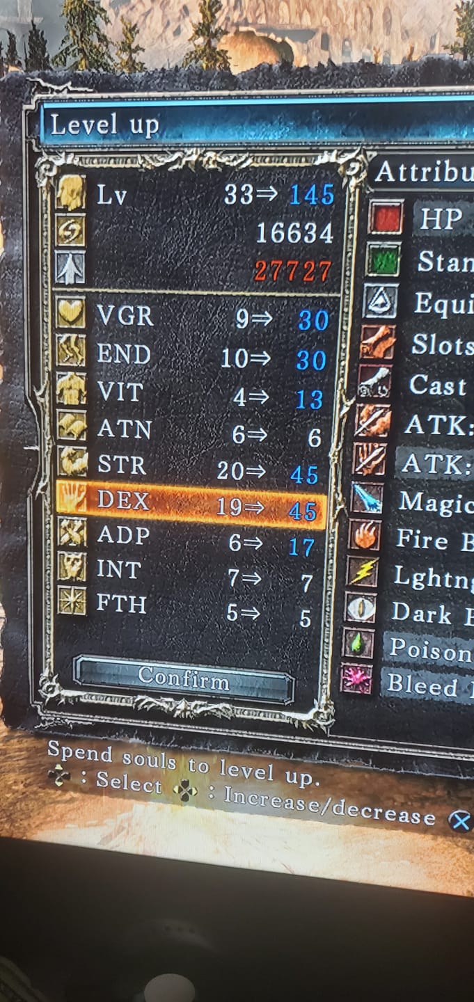 Customer photo review of Dark Souls 2 Items & Souls