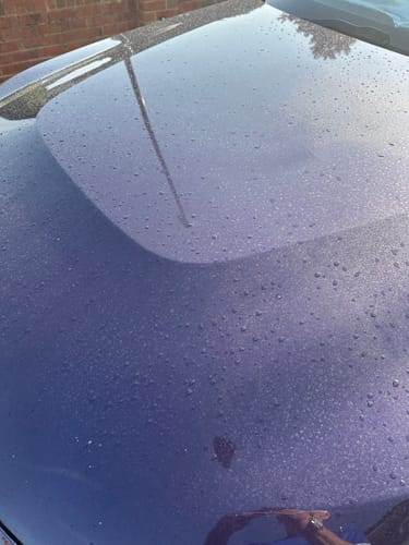 Customer photo review of V2 Free Spray Bundle