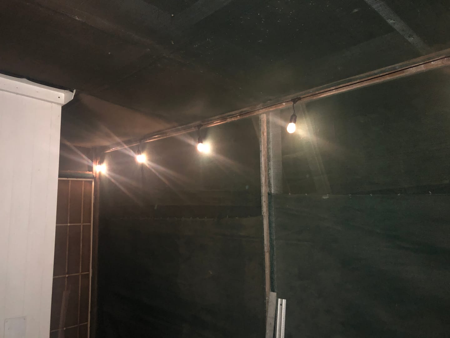 Customer photo review of Festoon Solar Lights (Series 2)