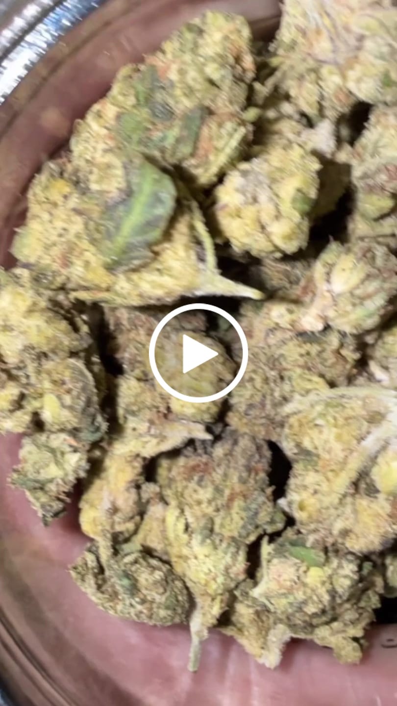 Customer video review of Indoor Smalls