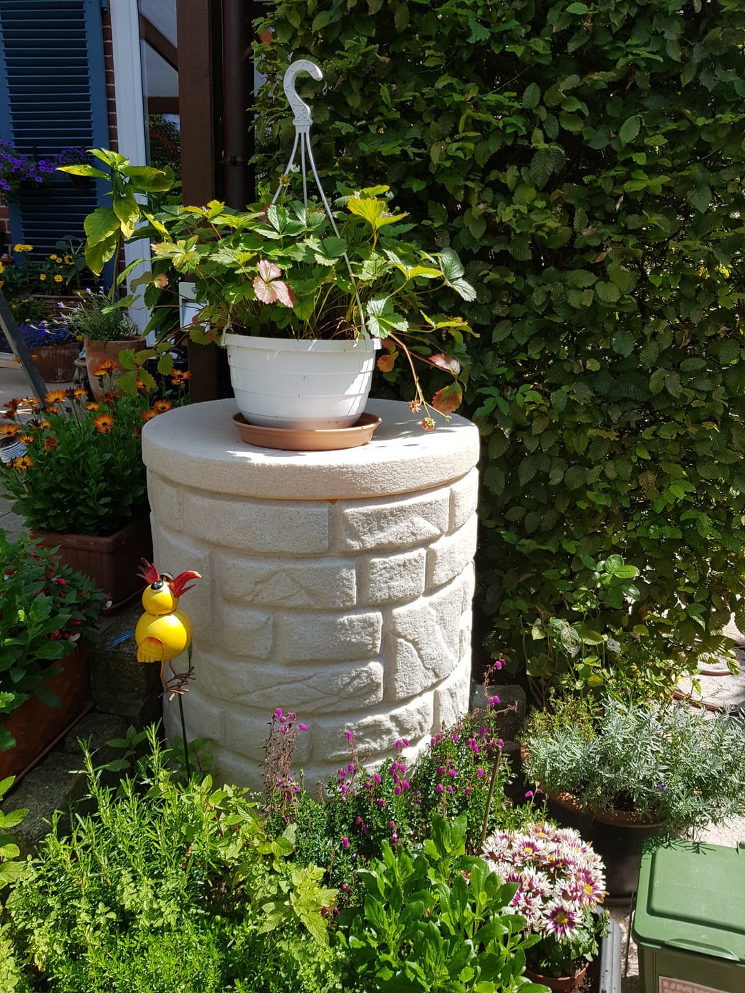 Customer photo review of YourCasa Regentonne [StoneRain] - Frostsicher & UV-beständig