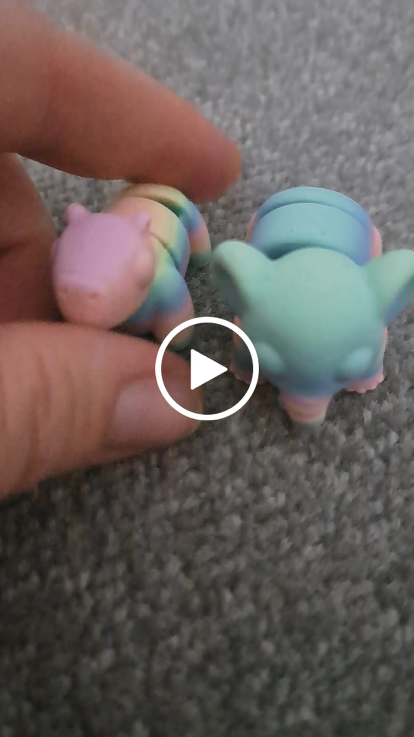 Customer video review of Mini Rainbow Pets