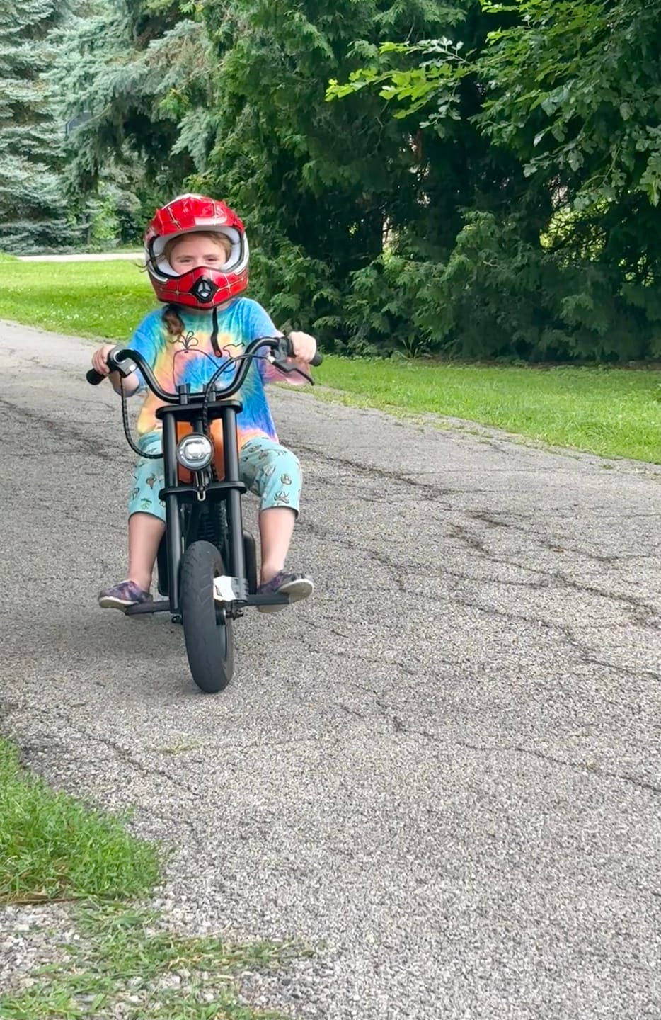 Customer photo review of Cruiser 12
