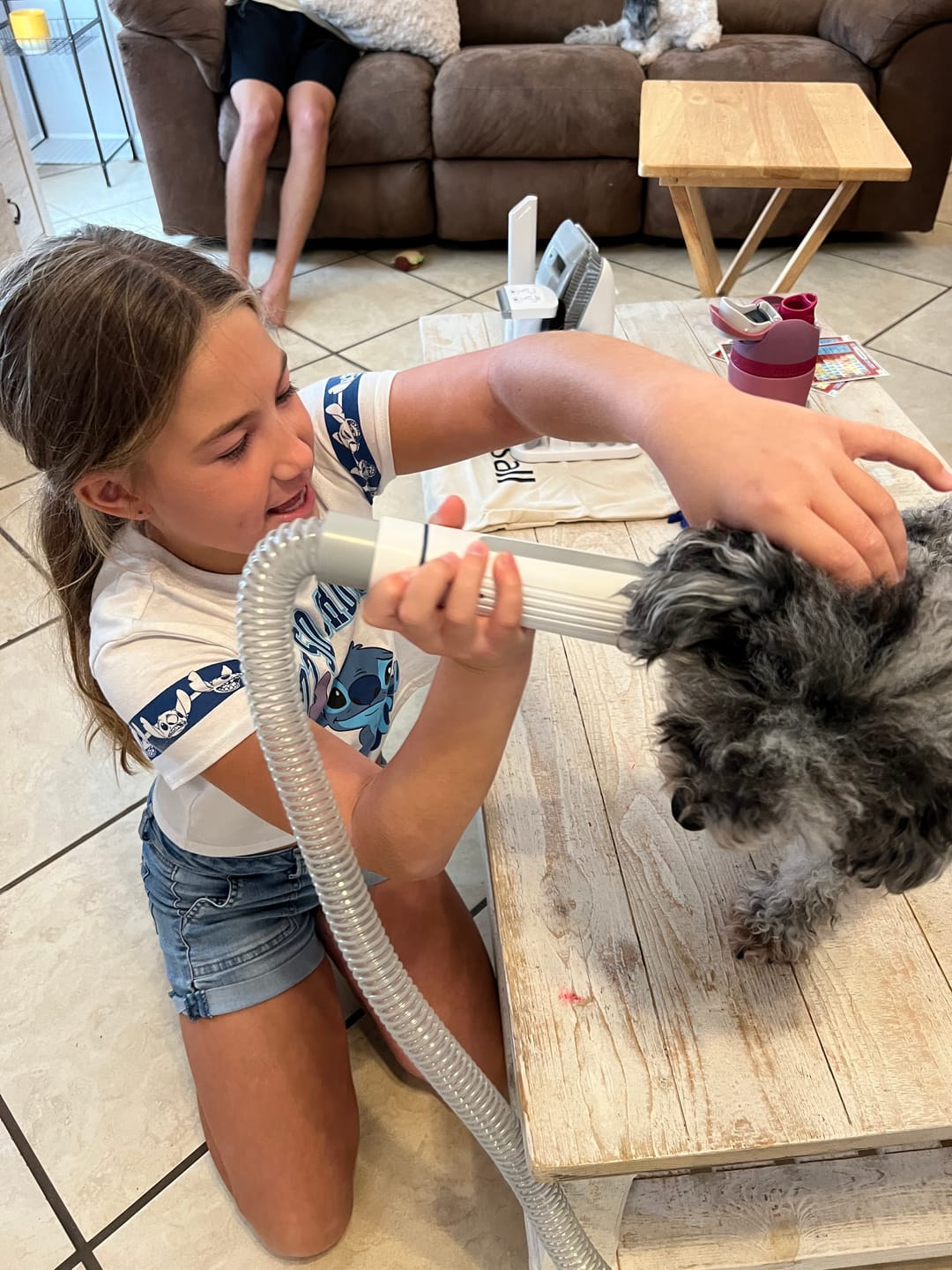 Customer photo review of Oneisall LM2 7-in-1 Pet Grooming Vacuum Kit