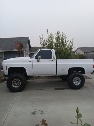 Customer photo review of Mail Order Tune