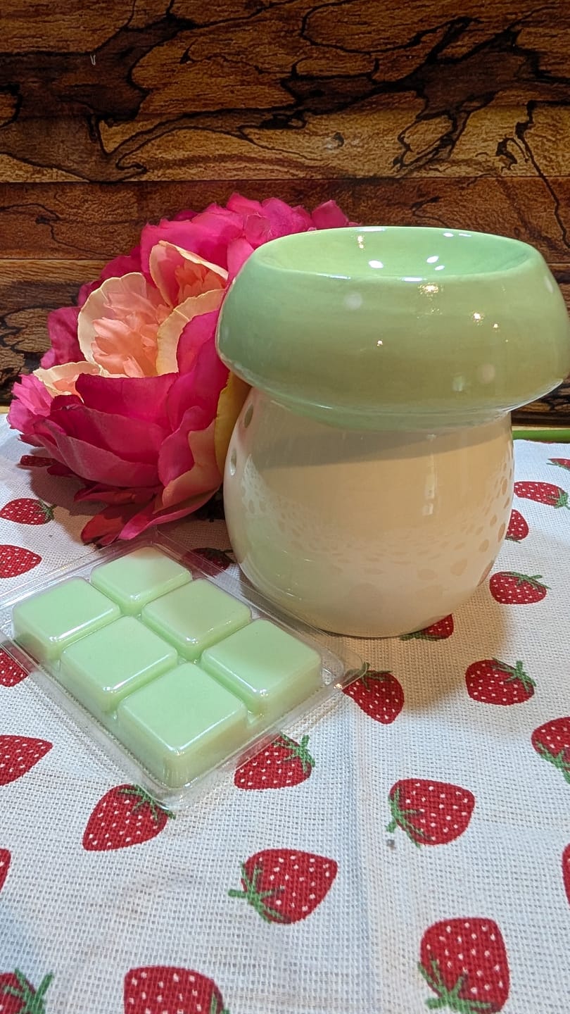 Customer photo review of Pastellpilz Wachsbrenner – Sommerliches Duftset mit Wax Melts