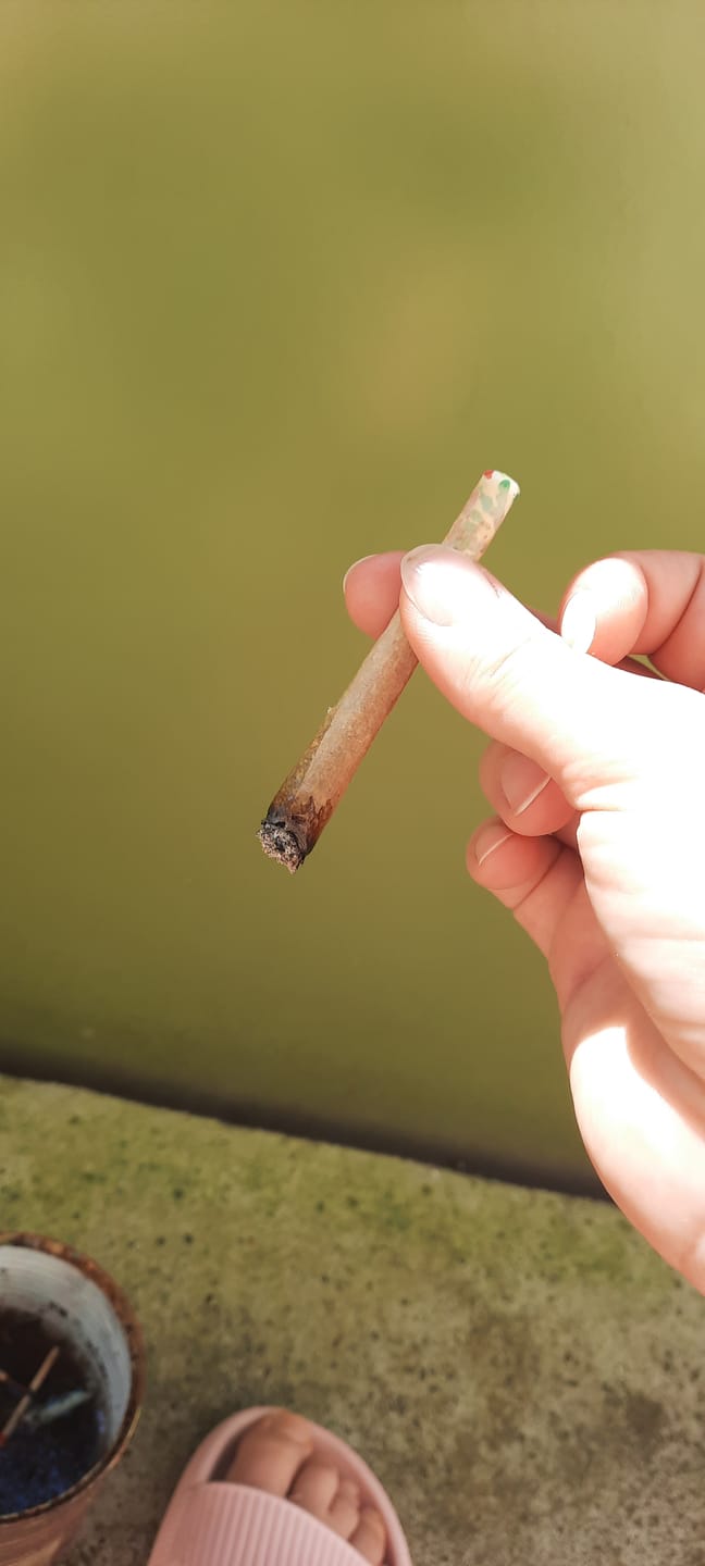 Customer photo review of Diesel Dynamite - SATIVA TURBO LVL 5/5
