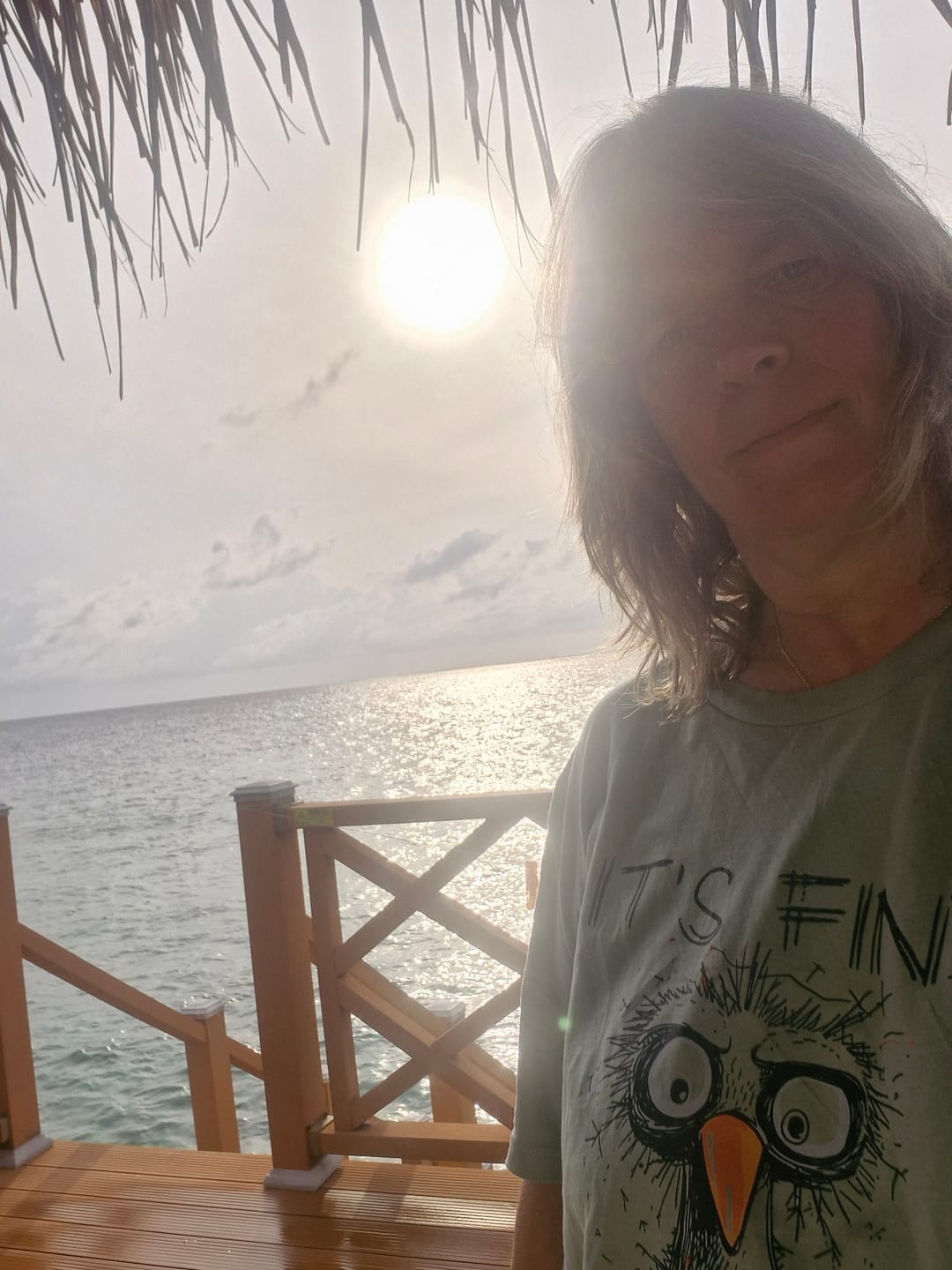 Customer photo review of It's fine. I'm fine. Everything is fine  · Herren Premium Bio T-Shirt