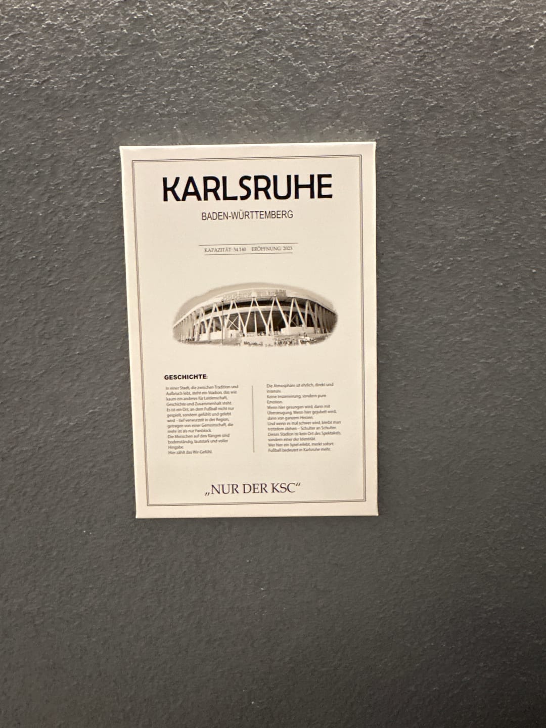 Customer photo review of Karlsruhe Stadion Leinwand