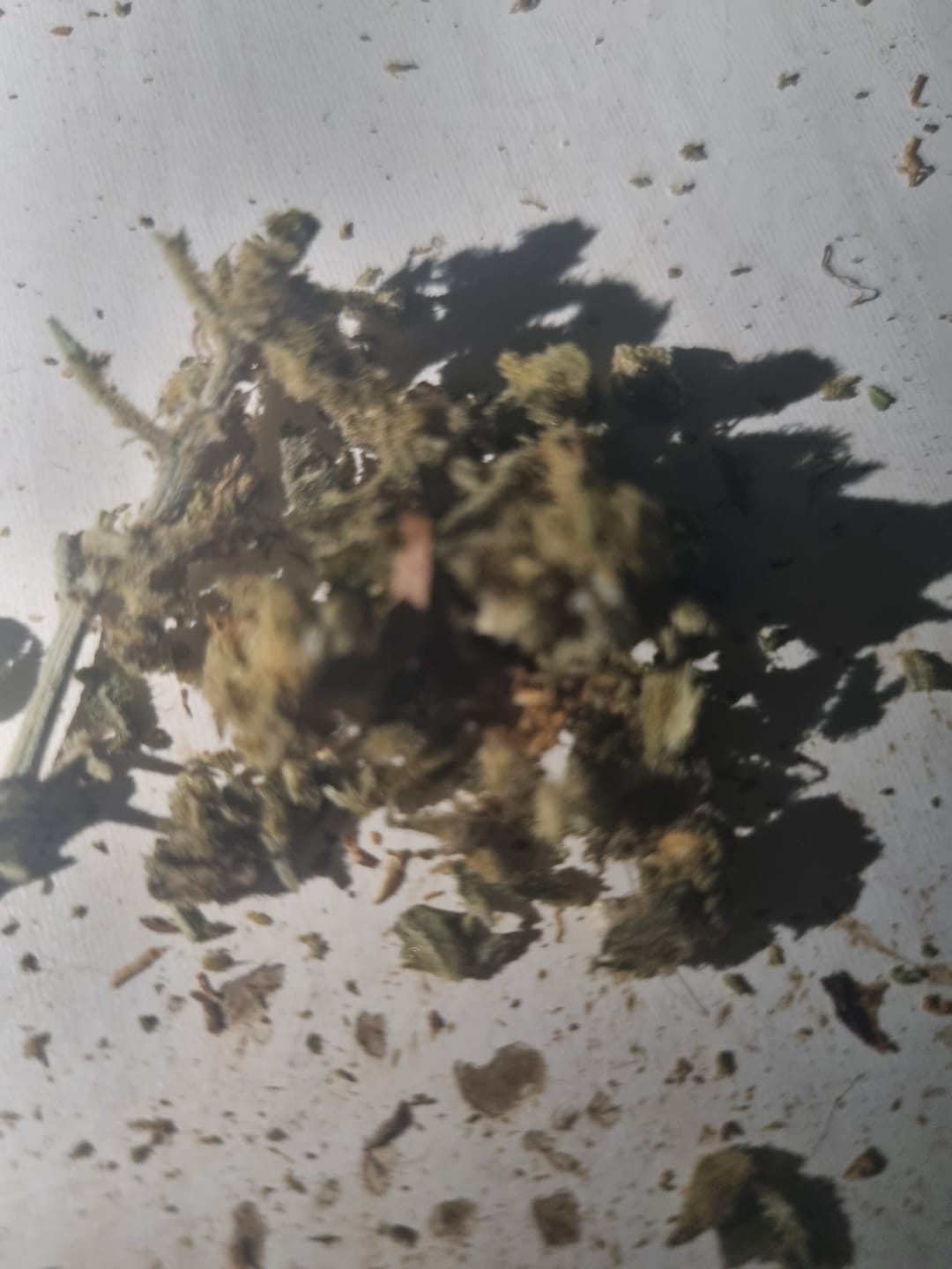 Customer photo review of 🍉 Melon Kush - POWER LVL: 4/5