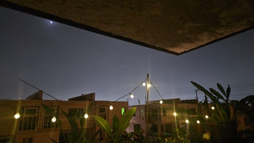 Customer photo review of LED String Fairy Lights Solar