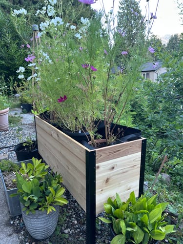 Customer photo review of 18" x 48" Raised Garden Bed - 30" TALL