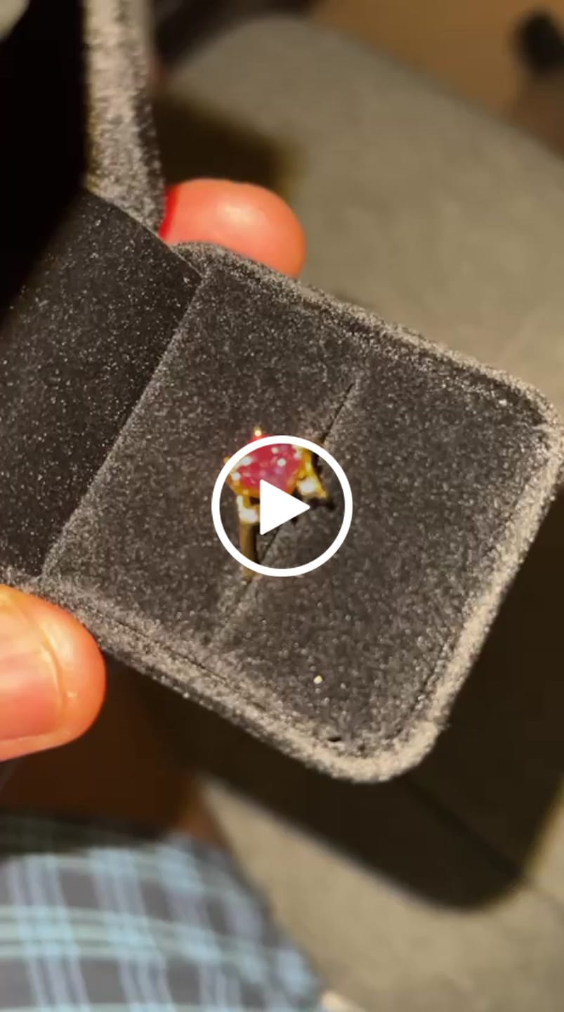 Customer video review of The Julissa