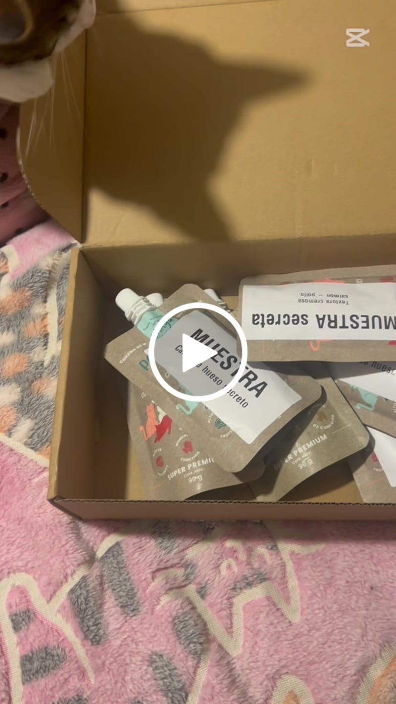 Customer video review of Chicken Fiesta Gatos