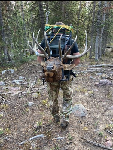 Customer photo review of Titanium Broadheads