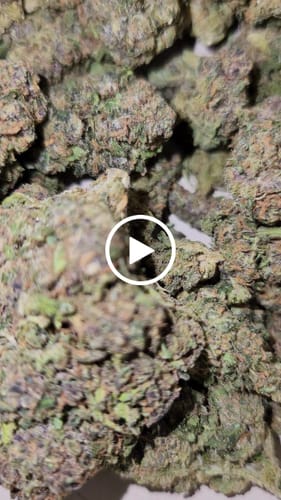 Customer video review of Tropicana Cherry THCA Flower
