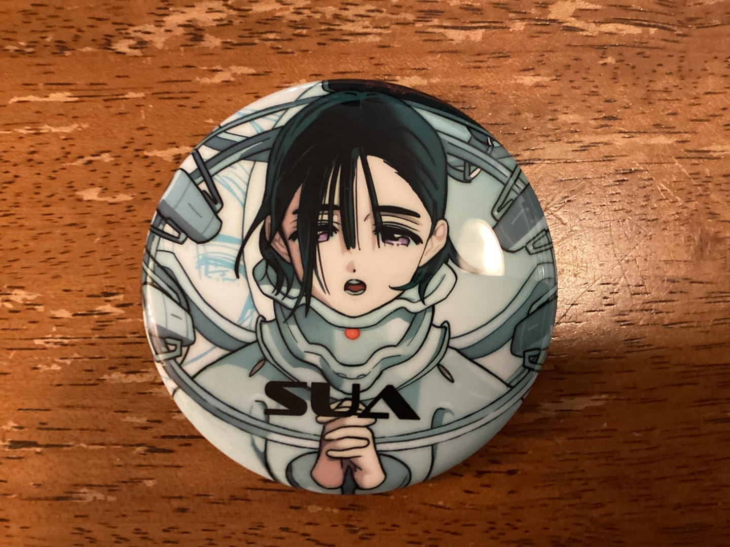 Customer photo review of Alien Stage Anakt Garden Collection Round Badge Blind Box